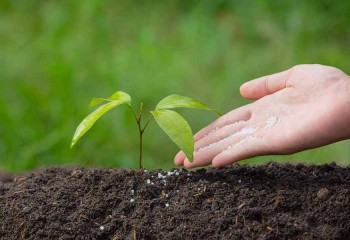 Agrotendencias FIMA: el futuro de los fertilizantes está aquí