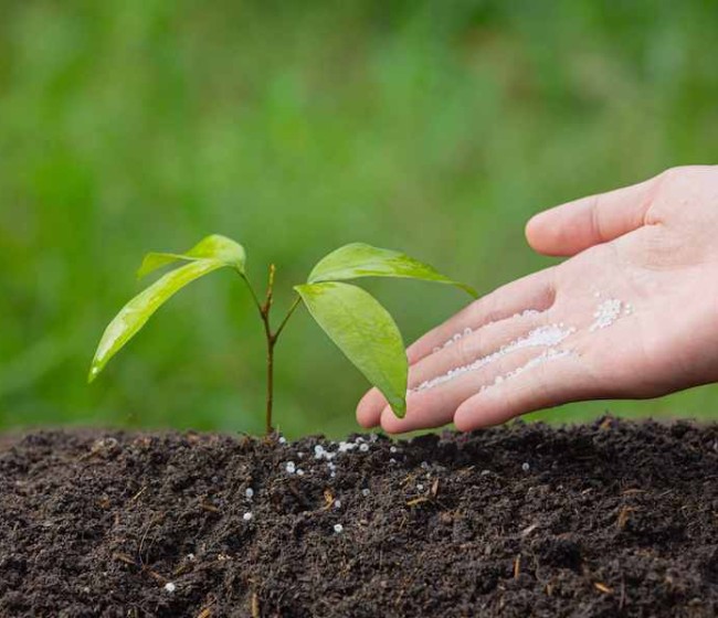 Agrotendencias FIMA: el futuro de los fertilizantes está aquí