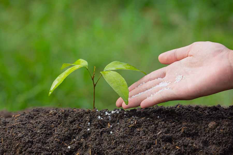 Agrotendencias FIMA: el futuro de los fertilizantes está aquí