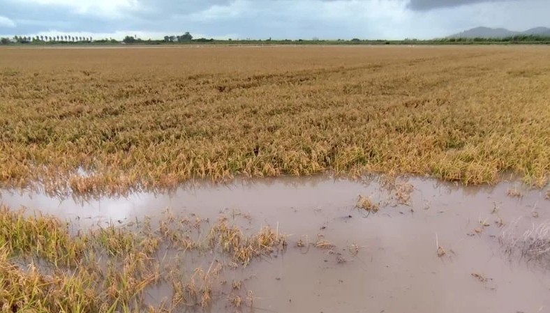 lluvias_valencia