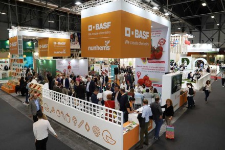Basf presenta en Fruit Attraction ‘The Melonution’, su apuesta para reforzar la industria de melón y sandía a través de la innovación