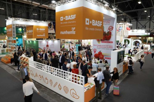 Basf presenta en Fruit Attraction ‘The Melonution’, su apuesta para reforzar la industria de melón y sandía a través de la innovación