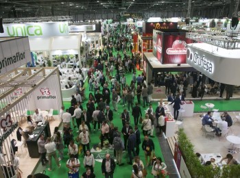 Fruit Attraction 2025 genera 407 millones  y más de 3.000 empleos en Madrid