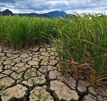 Unión de Uniones reclama incluir la siniestralidad extraordinaria por el cambio climático en los seguros agrarios