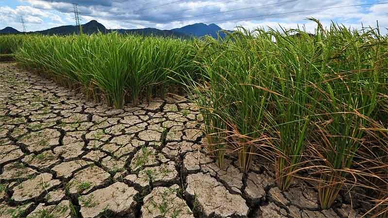 cambio_climatico