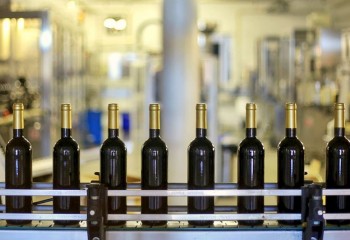 España pasará de ser el segundo al tercer mayor productor de vino de la UE en 2025 según Copa-Cogeca