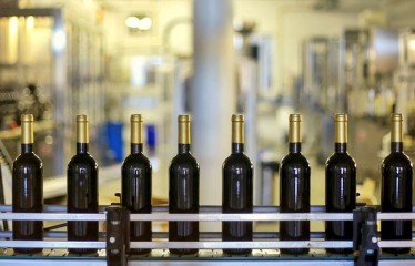 El Parlamento Europeo respalda medidas para responder a las dificultades del sector del vino