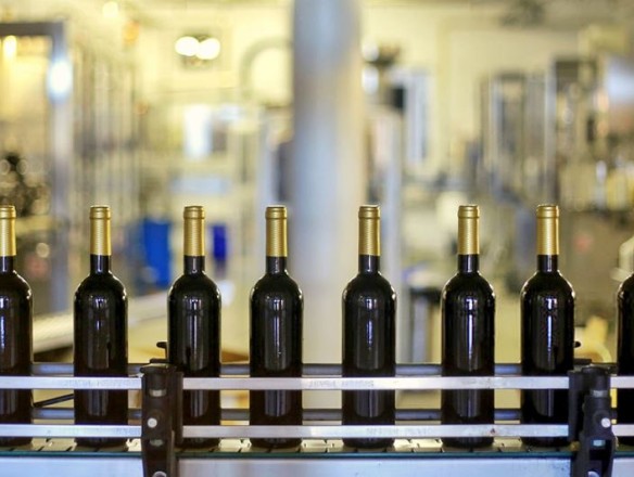 España pasará de ser el segundo al tercer mayor productor de vino de la UE en 2025 según Copa-Cogeca