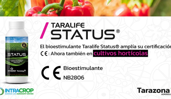 Taralife status tarazona
