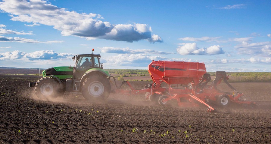 Maschio_Gaspardo_Opera