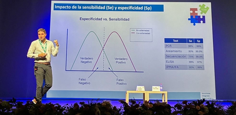 Boehringer Ingelheim
