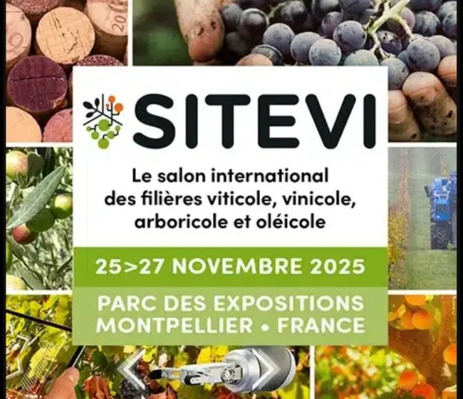 Sitevi abre sus puertas con la diversificación como tema clave