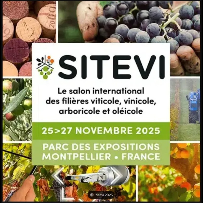 Sitevi abre sus puertas con la diversificación como tema clave