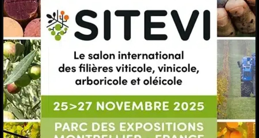 SITEVI 2025