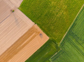 ¿Qué regiones de la UE tienen la mayor producción agrícola?