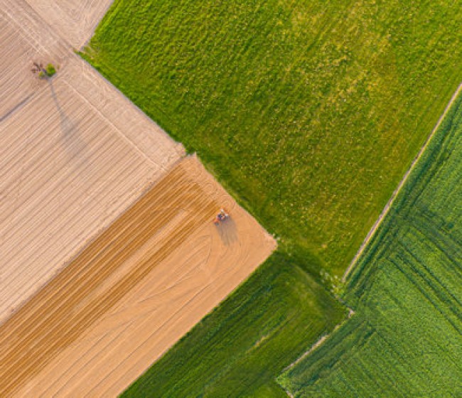 ¿Qué regiones de la UE tienen la mayor producción agrícola?