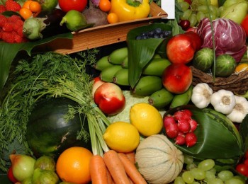 Productores europeos de frutas y hortalizas advierten sobre las consecuencias perjudiciales del acuerdo UE-Marruecos