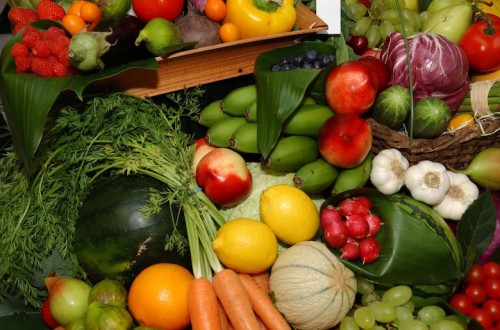 Productores europeos de frutas y hortalizas advierten sobre las consecuencias perjudiciales del acuerdo UE-Marruecos