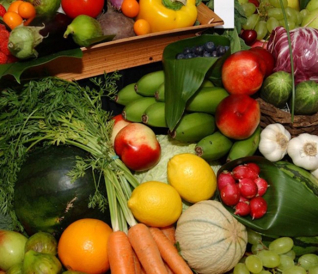 Productores europeos de frutas y hortalizas advierten sobre las consecuencias perjudiciales del acuerdo UE-Marruecos