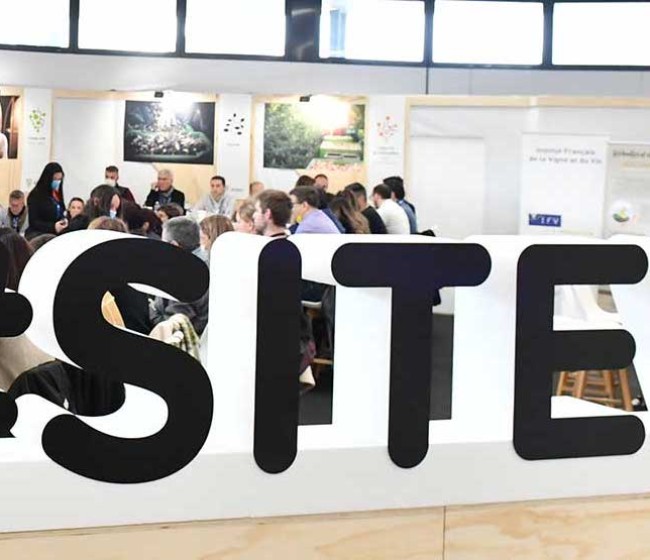 Sitevi desvela los ganadores de sus Premios a la Innovación