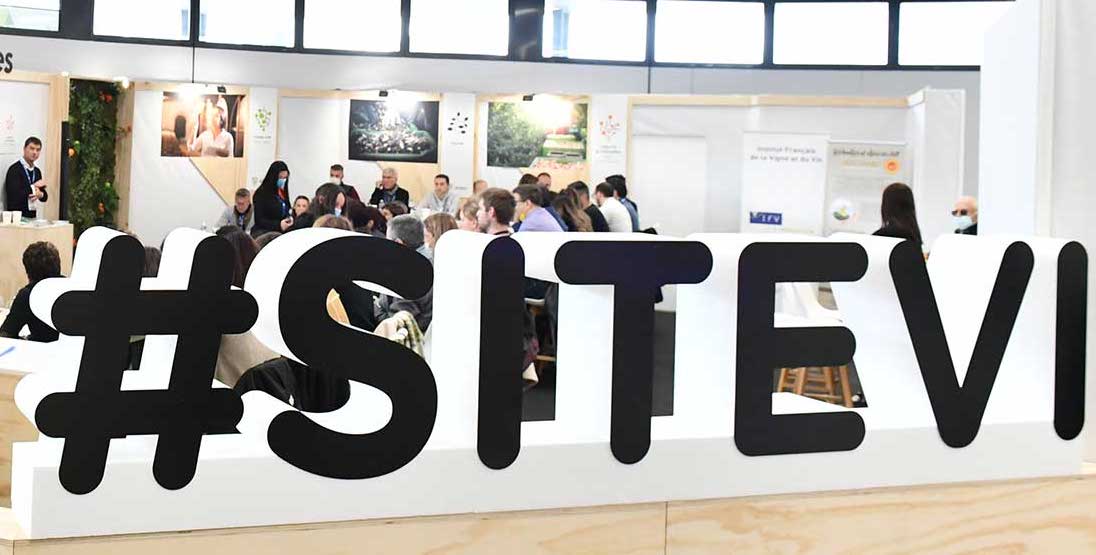 Sitevi desvela los ganadores de sus Premios a la Innovación