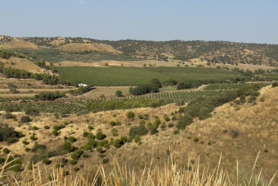 Principios y fundamentos de la agricultura regenerativa