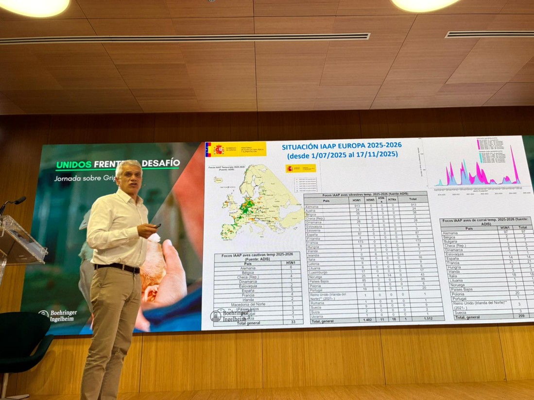 Boehringer Ingelheim reúne en Madrid a 120 expertos para abordar los retos de la gripe aviar Boehringer Ingelheim reúne en Madrid a 120 expertos para abordar los retos de la gripe aviar