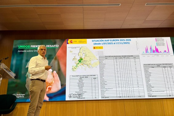Boehringer Ingelheim reúne en Madrid a 120 expertos para abordar los retos de la gripe aviar