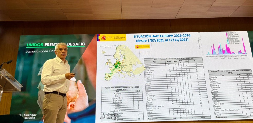 Boehringer Ingelheim