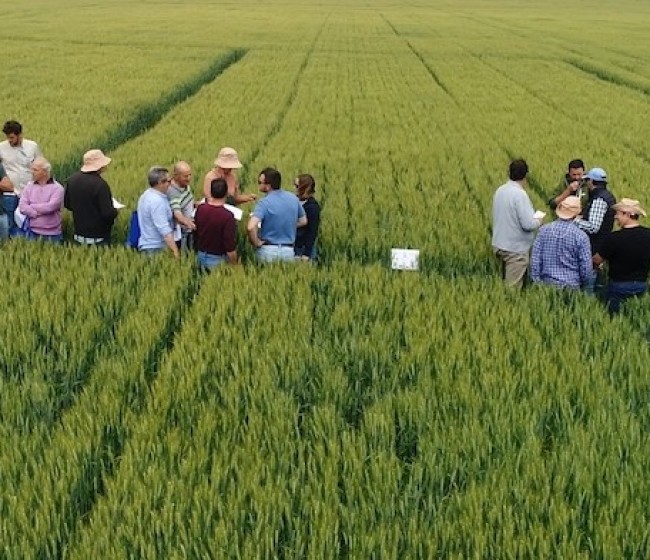 Juan Antonio Aparicio basa su estrategia de rentabilidad en la salud de sus suelos