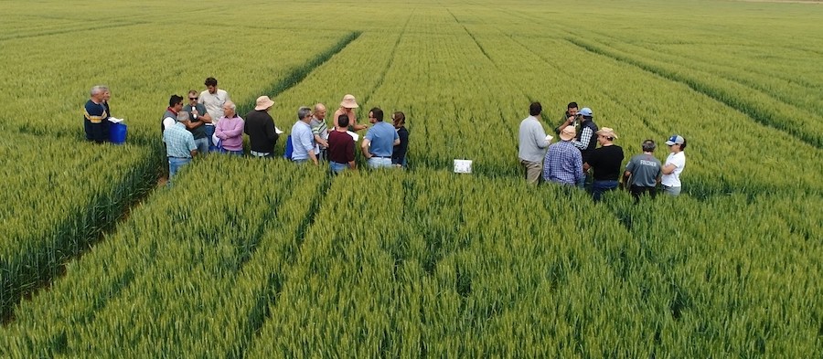 Juan Antonio Aparicio basa su estrategia de rentabilidad en la salud de sus suelos