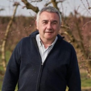 Peste porcina: cuando la sanidad animal empieza en el monte