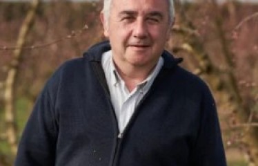 Peste porcina: cuando la sanidad animal empieza en el monte