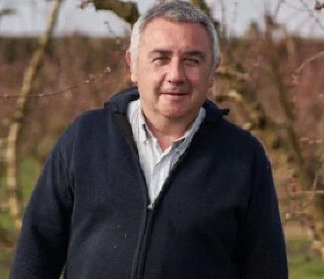 Peste porcina: cuando la sanidad animal empieza en el monte