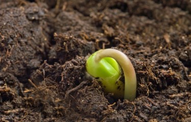 El Gobierno impulsa la agricultura de carbono con una asociación dedicada a los suelos