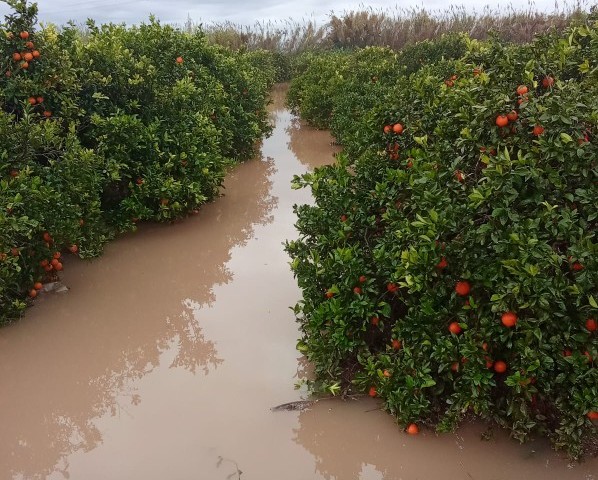 unio_lluvias_valencia