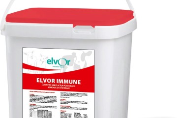 Elvor lanza un innovador sustituto de calostro