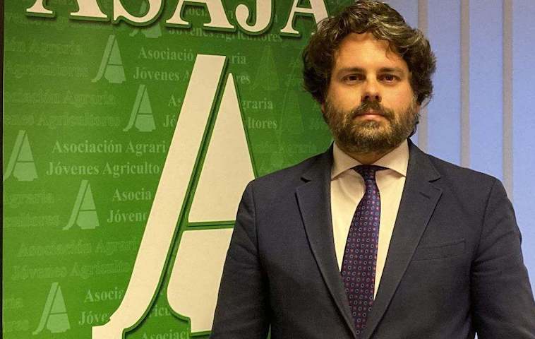 Mercosur: manual de instrucciones para pedir perdón sin cambiar nada