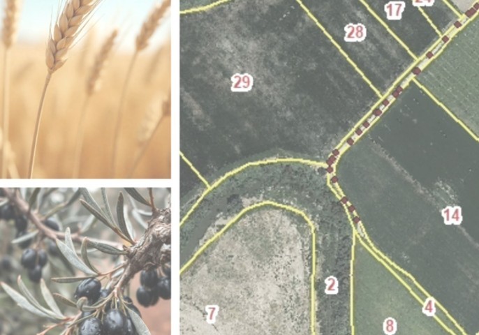 esyrce_superficies_cultivable