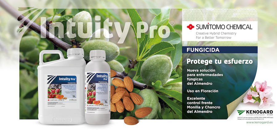 Intuity Pro, la nueva solución distribuida por Kenogard para el control de enfermedades fúngicas del almendro Intuity Pro, la nueva solución distribuida por Kenogard para el control de enfermedades fúngicas del almendro