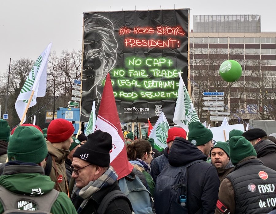 Cientos de agricultores tratan de convencer a la Eurocámara para que lleve el acuerdo con Mercosur al TJUE Cientos de agricultores tratan de convencer a la Eurocámara para que lleve el acuerdo con Mercosur al TJUE