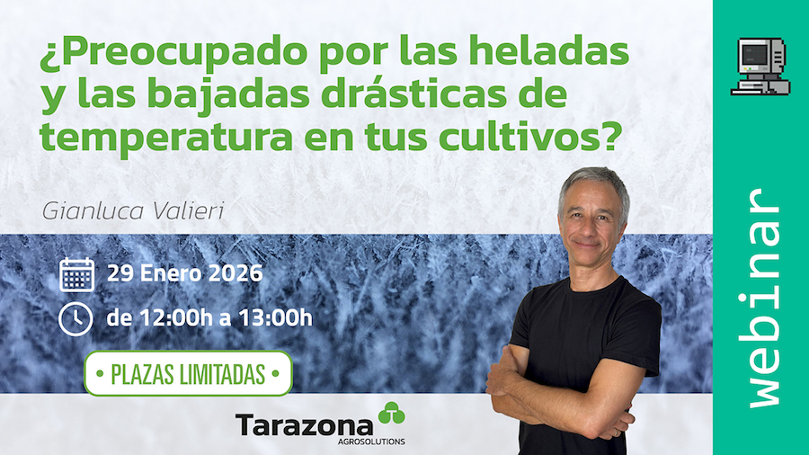 Tarazona organiza el 29 de enero un webinar en el que aborda cómo actúan las heladas y cómo responder Tarazona organiza el 29 de enero un webinar en el que aborda cómo actúan las heladas y cómo responder