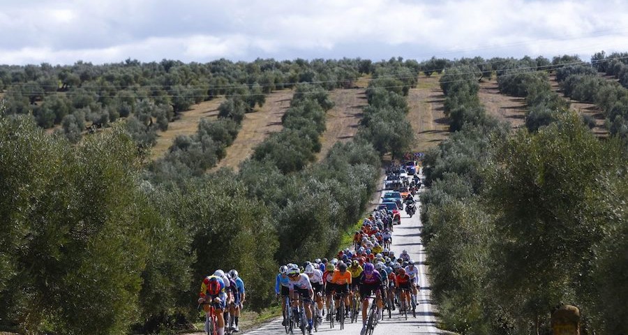 Balam_Clasica_Jaen_Paraiso