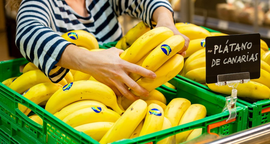 Plátano de Canarias