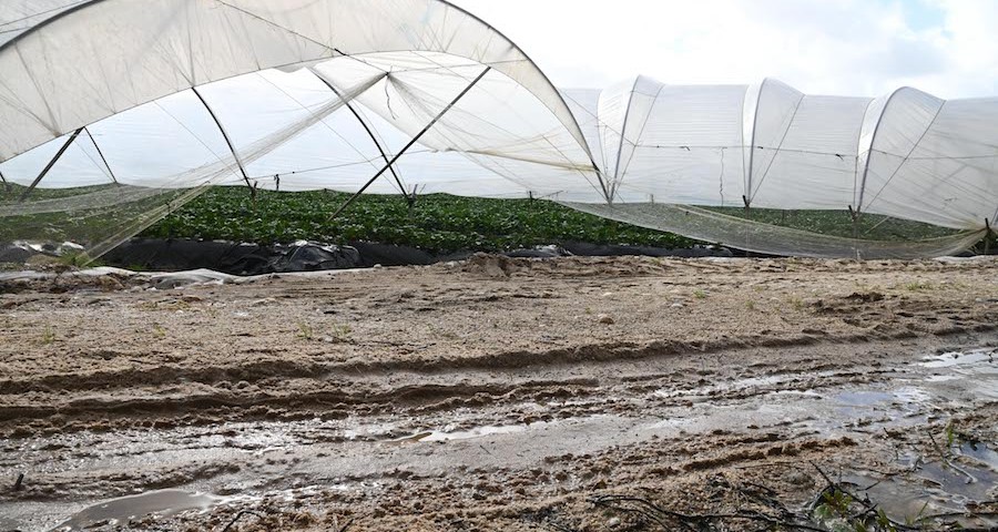 huelva_lluvias_invernaderos