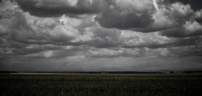 Agroseguro recibe declaraciones de siniestros por el temporal en más de 18.000 hectáreas