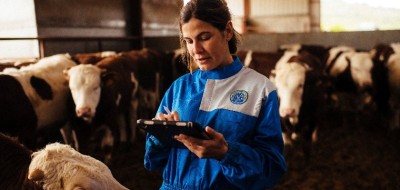 Provacuno lanzará una app para medir la huella de carbono del vacuno de carne en España