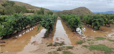 Castilla-La Mancha, dispuesta a flexibilizar los plazos de algunas actuaciones agrarias por las lluvias