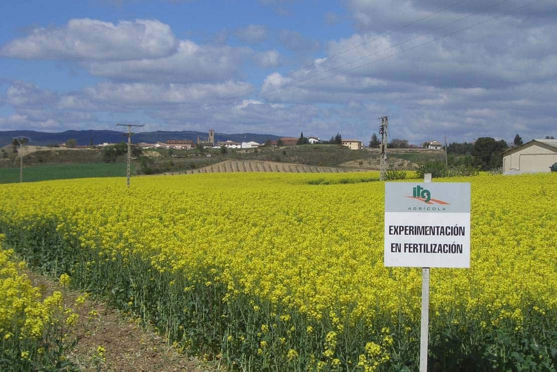 Fertilización de los cultivos de invierno: cereal, colza y guisante