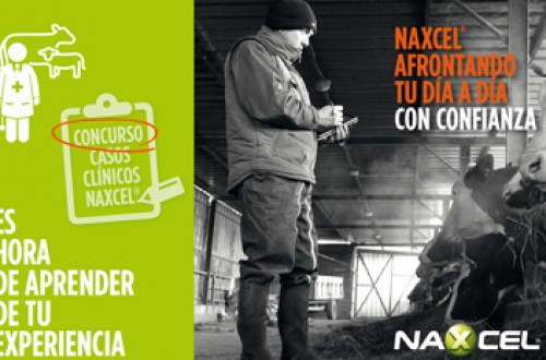 Zoetis abre el plazo de participación del Concurso ‘Casos clínicos Naxcel’